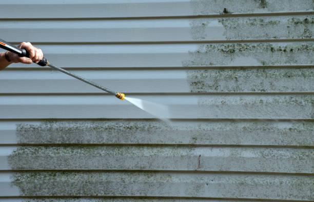 Best Local Pressure Washing Services  in Roanoke, TX