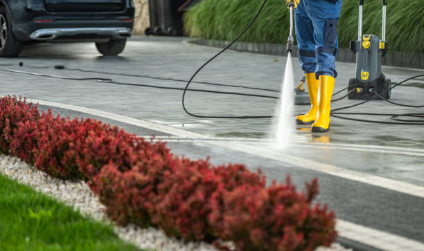 Best Roof Power Washing Services  in Roanoke, TX