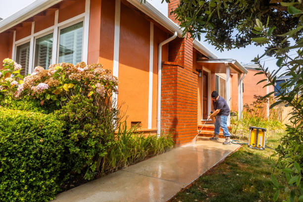 Best Pressure Washing Near Me  in Roanoke, TX